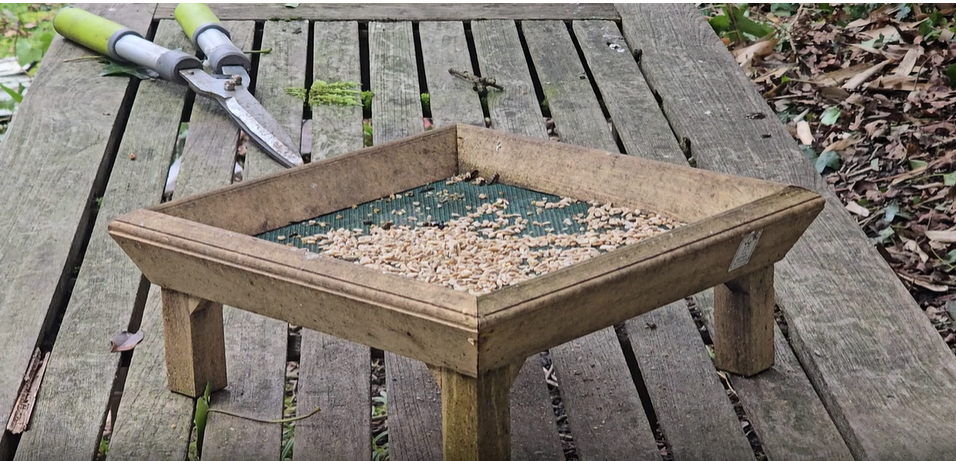 Empty bird feeder